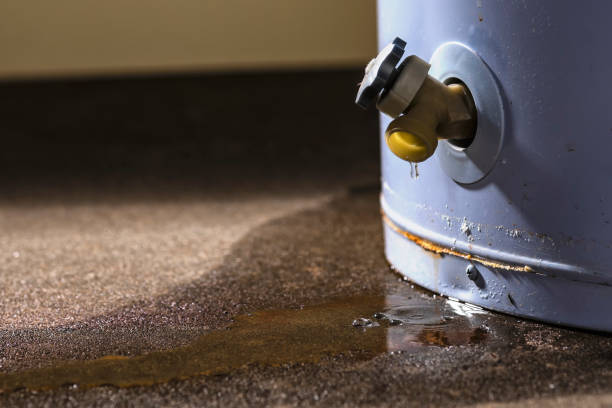 Best Water damage restoration near me  in Arroyo Seco, NM