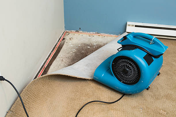 Best 24-hour water damage restoration  in Arroyo Seco, NM